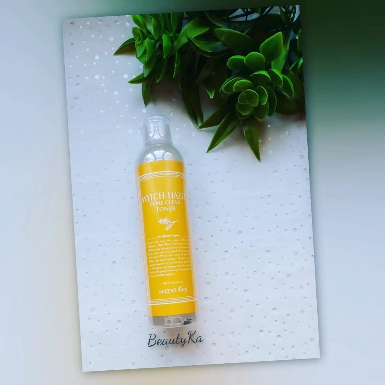 Secret Key Witch-Hazel Pore Clear Toner